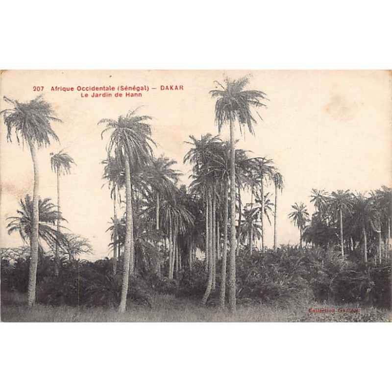 Rare collectable postcards of Senegal. Vintage Postcards of Senegal