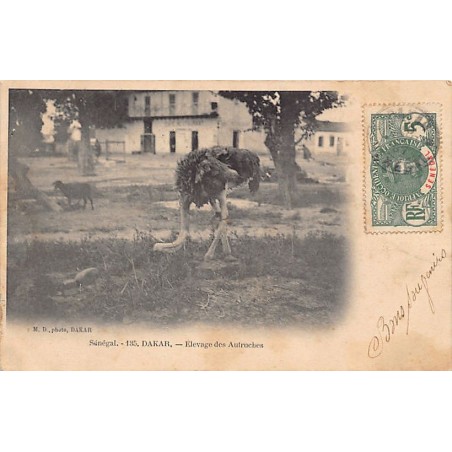 Rare collectable postcards of Senegal. Vintage Postcards of Senegal