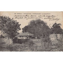 Rare collectable postcards of Senegal. Vintage Postcards of Senegal