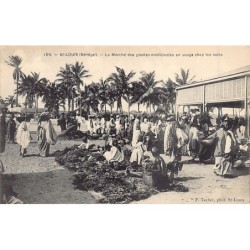Rare collectable postcards of Senegal. Vintage Postcards of Senegal