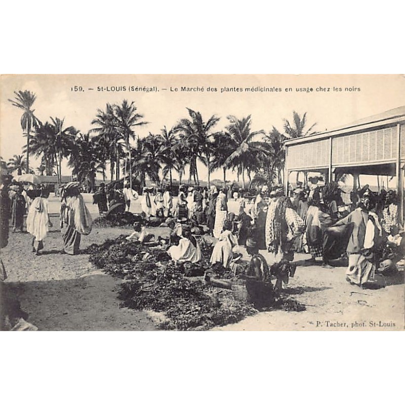 Rare collectable postcards of Senegal. Vintage Postcards of Senegal