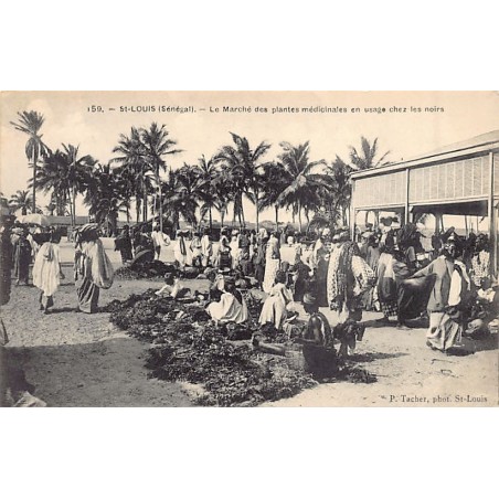 Rare collectable postcards of Senegal. Vintage Postcards of Senegal