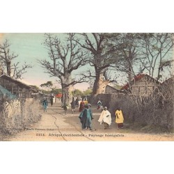 Rare collectable postcards of Senegal. Vintage Postcards of Senegal
