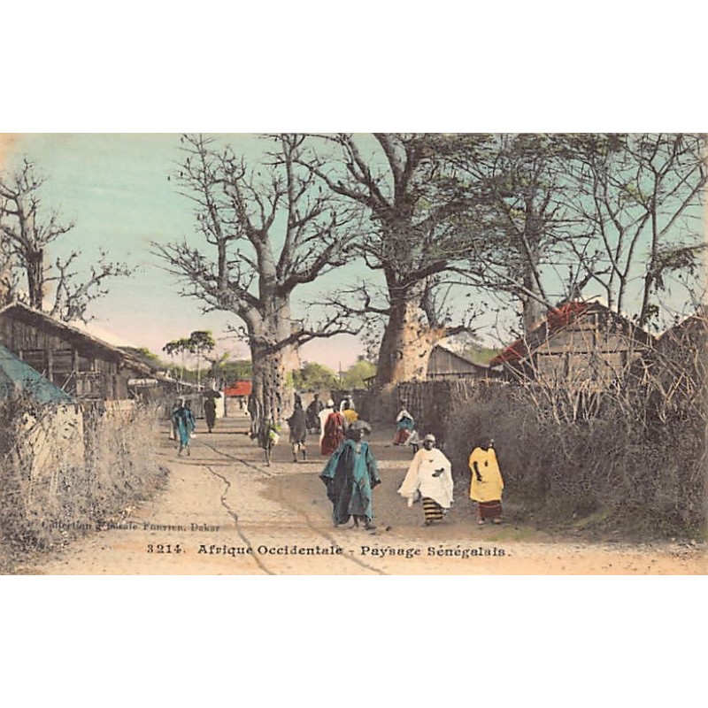 Rare collectable postcards of Senegal. Vintage Postcards of Senegal
