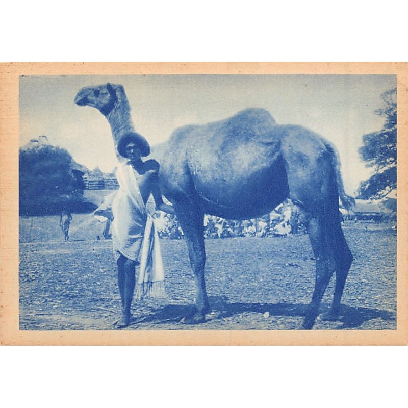 Rare collectable postcards of Somalia. Vintage Postcards of Somalia