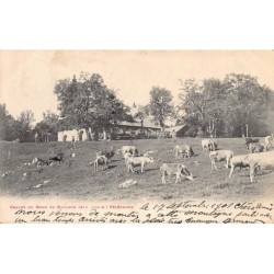 Rare collectable postcards of Switzerland. Vintage Postcards of Switzerland