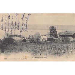 Rare collectable postcards of Switzerland. Vintage Postcards of Switzerland