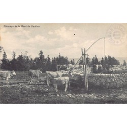 Rare collectable postcards of Switzerland. Vintage Postcards of Switzerland