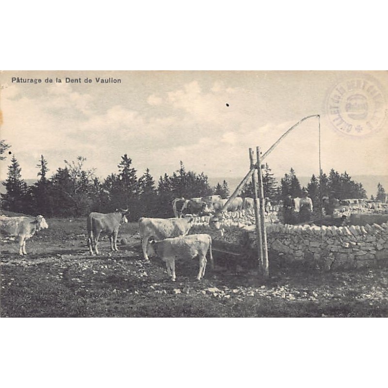 Rare collectable postcards of Switzerland. Vintage Postcards of Switzerland