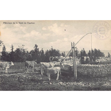 Rare collectable postcards of Switzerland. Vintage Postcards of Switzerland