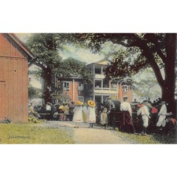 Rare collectable postcards of Sweden. Vintage Postcards of Sweden