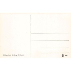 Rare collectable postcards of Sweden. Vintage Postcards of Sweden