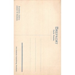 Rare collectable postcards of Sweden. Vintage Postcards of Sweden