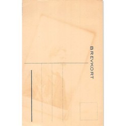 Rare collectable postcards of Sweden. Vintage Postcards of Sweden