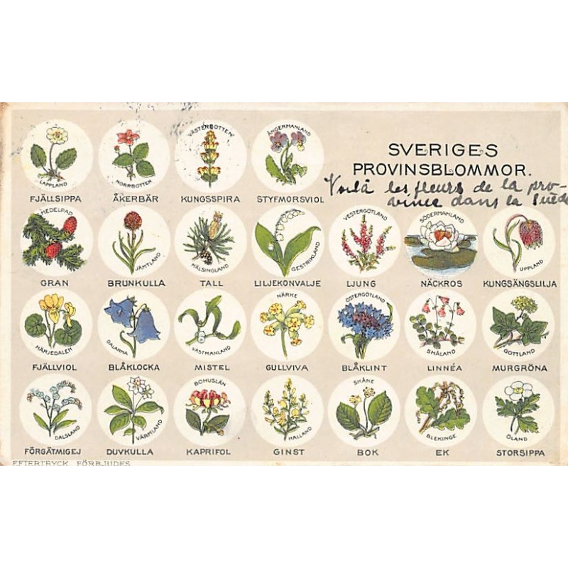 Rare collectable postcards of Sweden. Vintage Postcards of Sweden