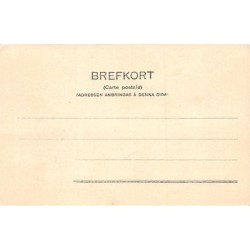 Rare collectable postcards of Sweden. Vintage Postcards of Sweden