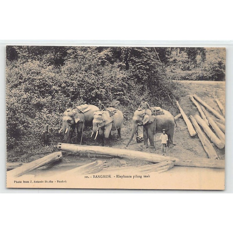 Rare collectable postcards of Thailand. Vintage Postcards of Thailand