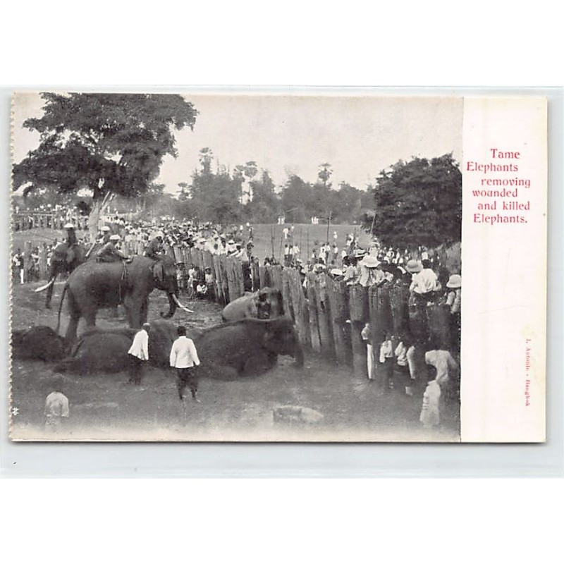 Rare collectable postcards of Thailand. Vintage Postcards of Thailand