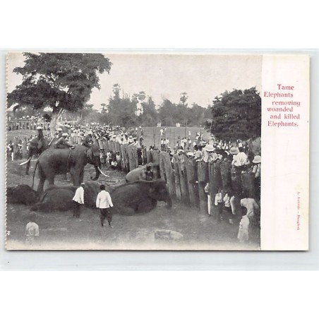 Rare collectable postcards of Thailand. Vintage Postcards of Thailand