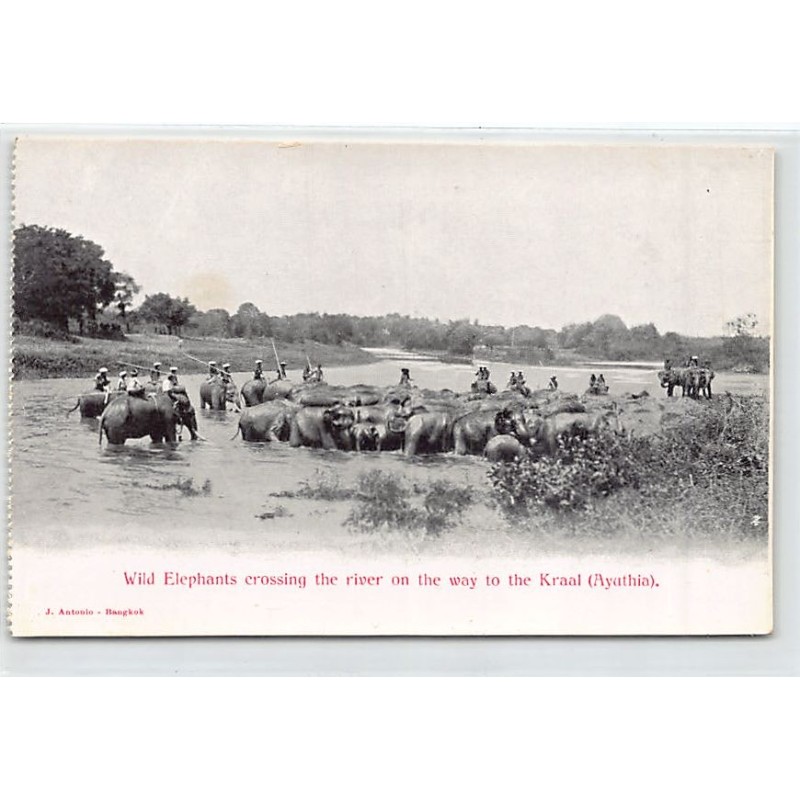 Rare collectable postcards of Thailand. Vintage Postcards of Thailand