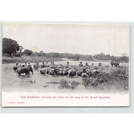 Rare collectable postcards of Thailand. Vintage Postcards of Thailand