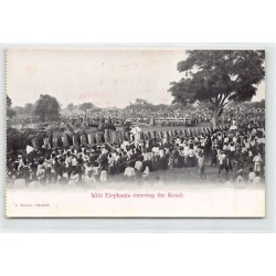 Rare collectable postcards of Thailand. Vintage Postcards of Thailand