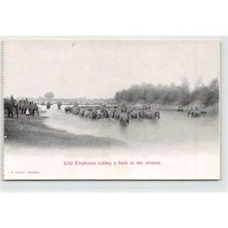 Rare collectable postcards of Thailand. Vintage Postcards of Thailand