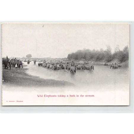 Rare collectable postcards of Thailand. Vintage Postcards of Thailand