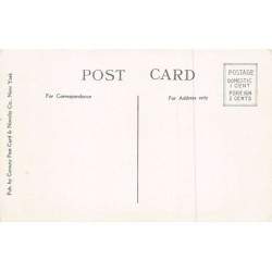 Rare collectable postcards of United States. Vintage Postcards of United States