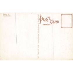 Rare collectable postcards of United States. Vintage Postcards of United States