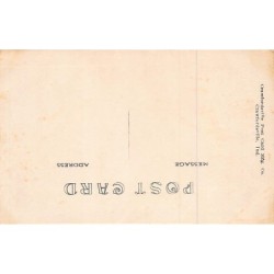 Rare collectable postcards of United States. Vintage Postcards of United States