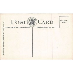 Rare collectable postcards of United States. Vintage Postcards of United States