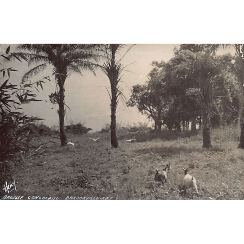 Rare collectable postcards of Congo - Brazzaville. Vintage Postcards of Congo - Brazzaville