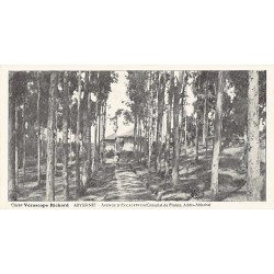 Rare collectable postcards of Ethiopia. Vintage Postcards of Ethiopia