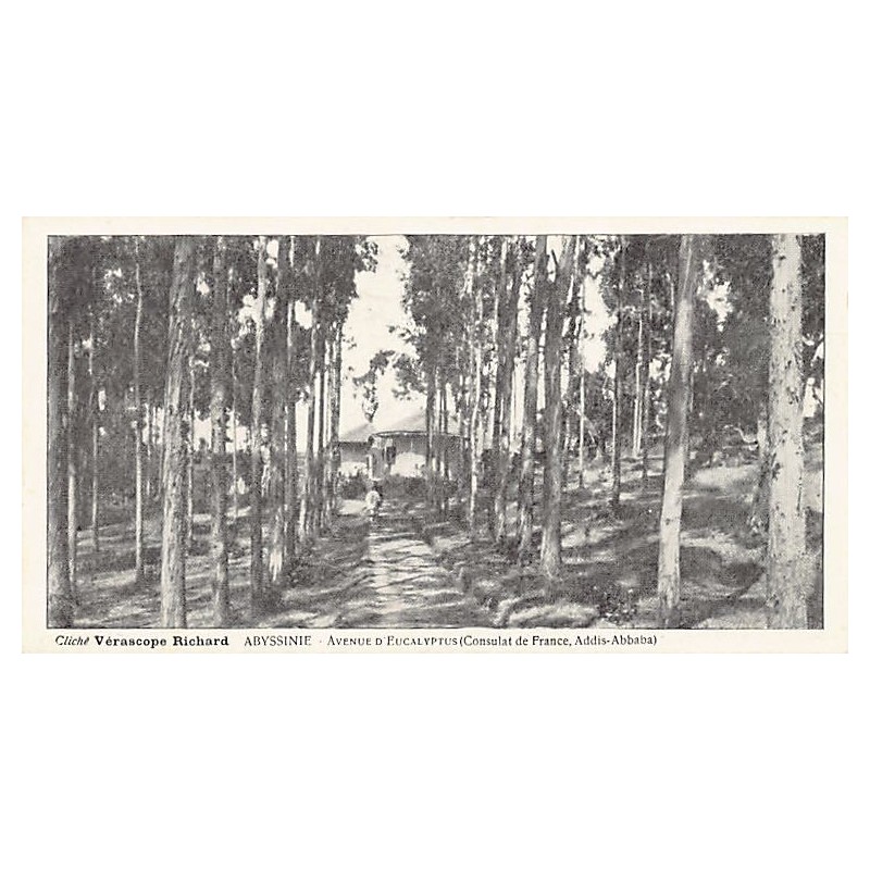 Rare collectable postcards of Ethiopia. Vintage Postcards of Ethiopia