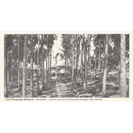 Rare collectable postcards of Ethiopia. Vintage Postcards of Ethiopia