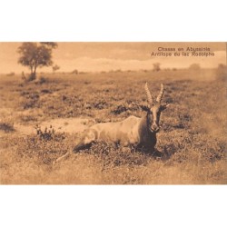 Rare collectable postcards of Ethiopia. Vintage Postcards of Ethiopia