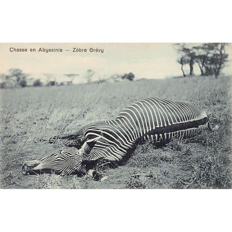 Rare collectable postcards of Ethiopia. Vintage Postcards of Ethiopia