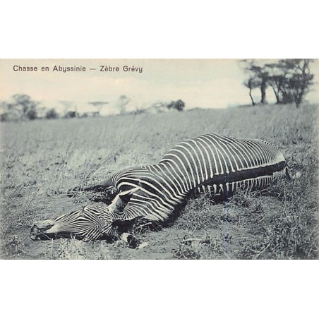 Rare collectable postcards of Ethiopia. Vintage Postcards of Ethiopia