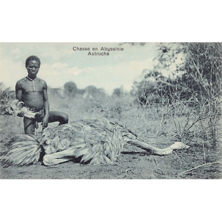 Rare collectable postcards of Ethiopia. Vintage Postcards of Ethiopia