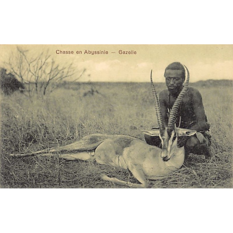 Rare collectable postcards of Ethiopia. Vintage Postcards of Ethiopia