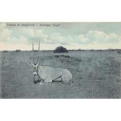 Rare collectable postcards of Ethiopia. Vintage Postcards of Ethiopia