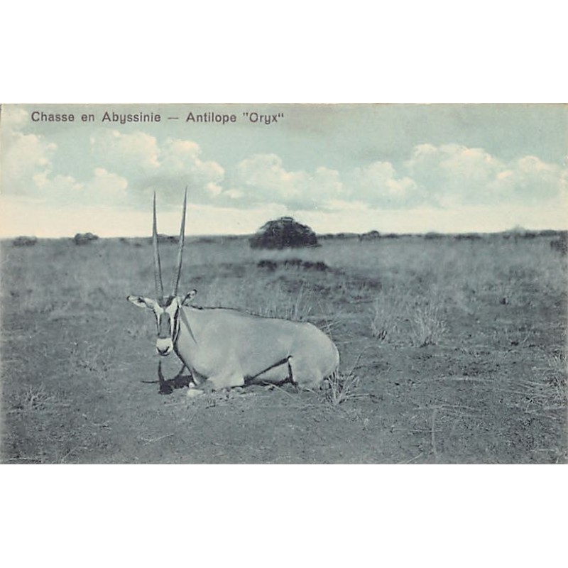 Rare collectable postcards of Ethiopia. Vintage Postcards of Ethiopia