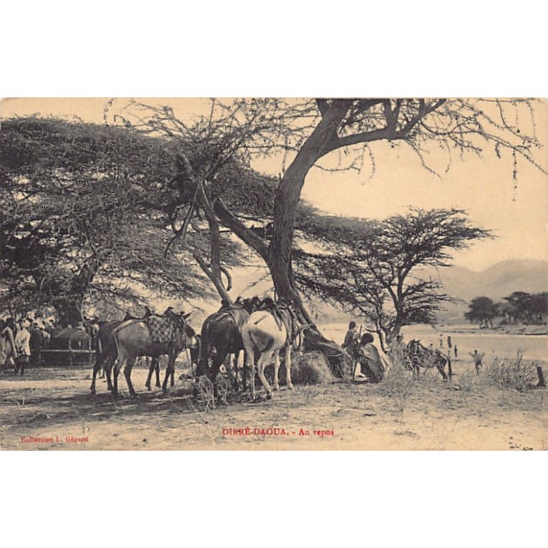 Rare collectable postcards of Ethiopia. Vintage Postcards of Ethiopia