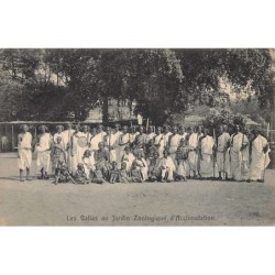 Rare collectable postcards of Ethiopia. Vintage Postcards of Ethiopia