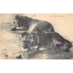 Rare collectable postcards of Ethiopia. Vintage Postcards of Ethiopia