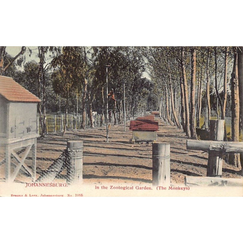 Rare collectable postcards of Somalia. Vintage Postcards of Somalia