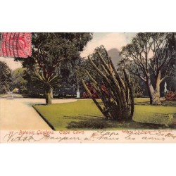 Rare collectable postcards of Somalia. Vintage Postcards of Somalia