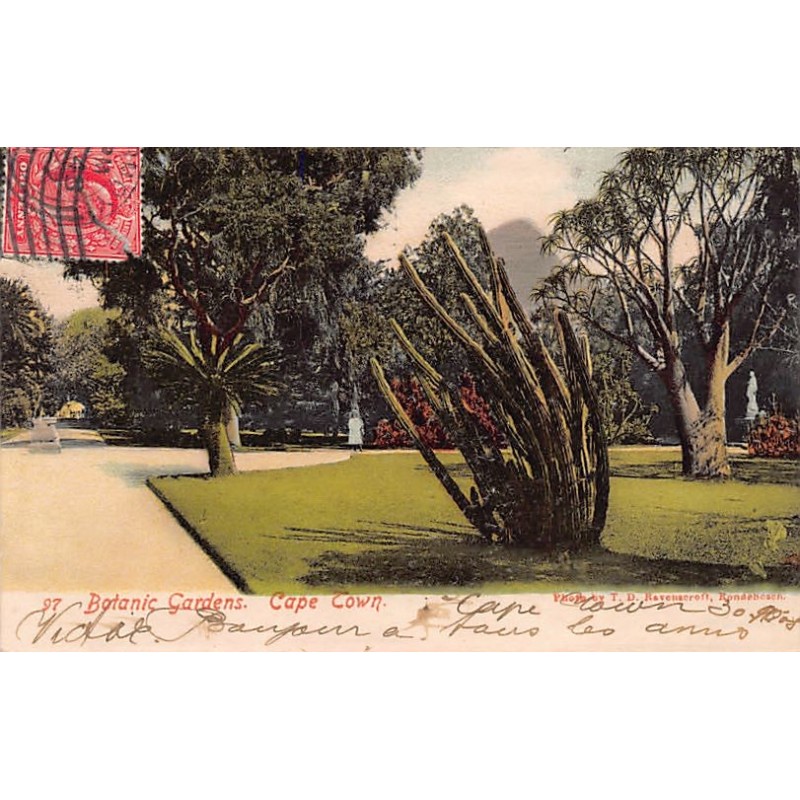 Rare collectable postcards of Somalia. Vintage Postcards of Somalia