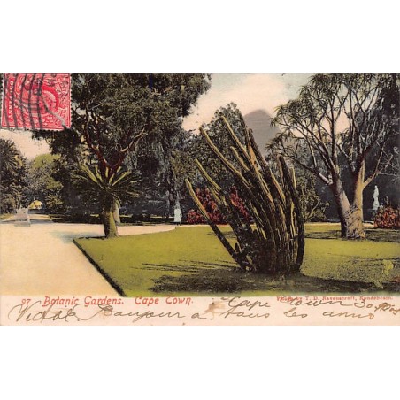 Rare collectable postcards of Somalia. Vintage Postcards of Somalia